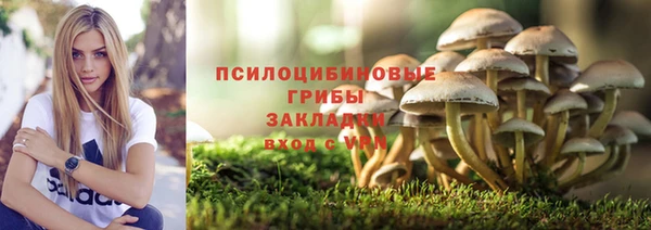 кокаин перу Горняк