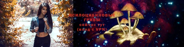 гидра Горно-Алтайск