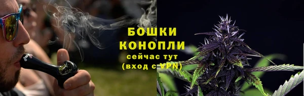 гашик Вяземский