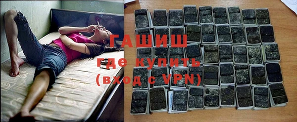 гидра Горно-Алтайск