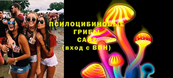 гидра Горно-Алтайск